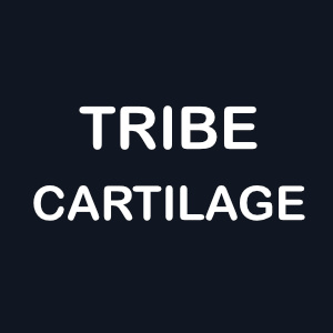 How to heal Cartilage